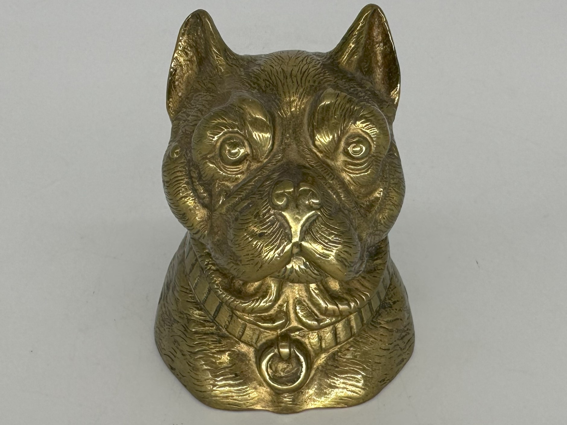 Dog – Boxer’s Head
