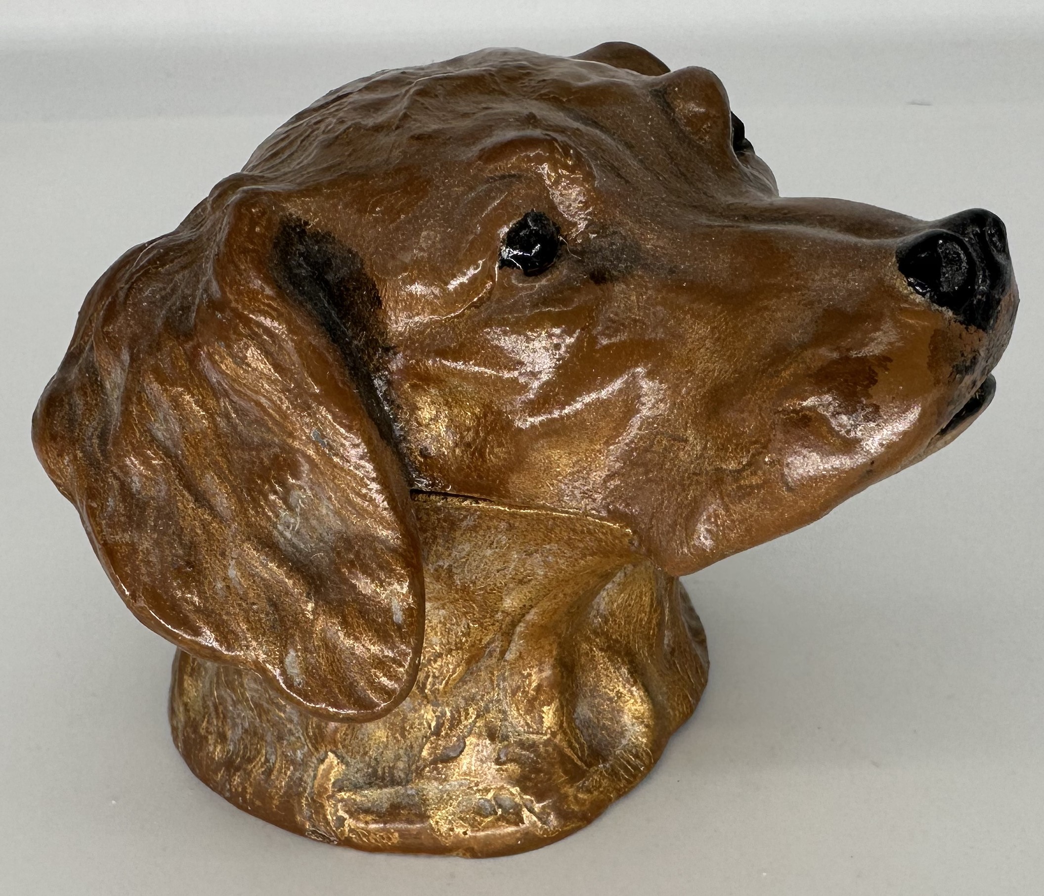 Dog – Golden Retriever’s Head