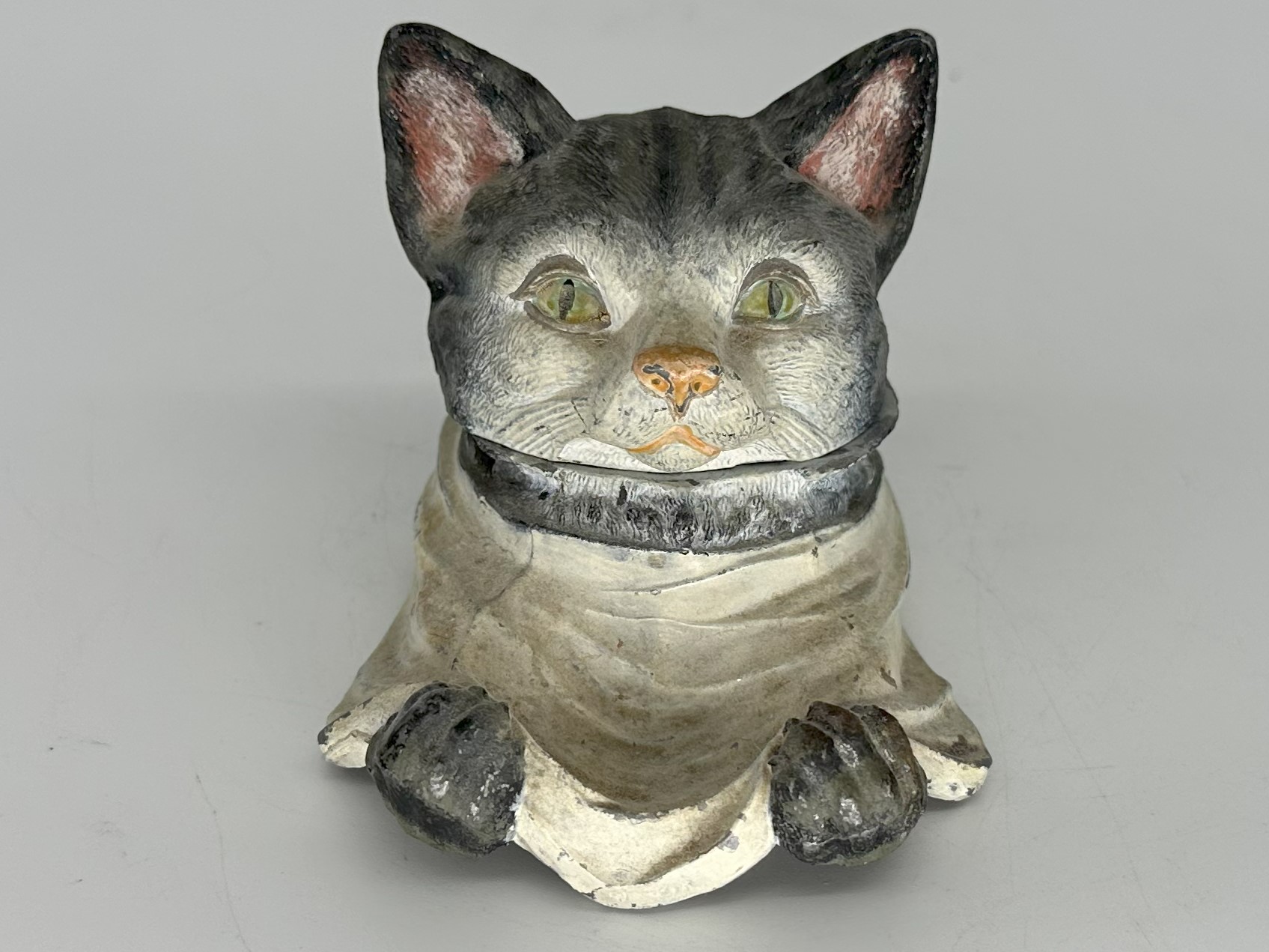 Cat Wearing a Bib