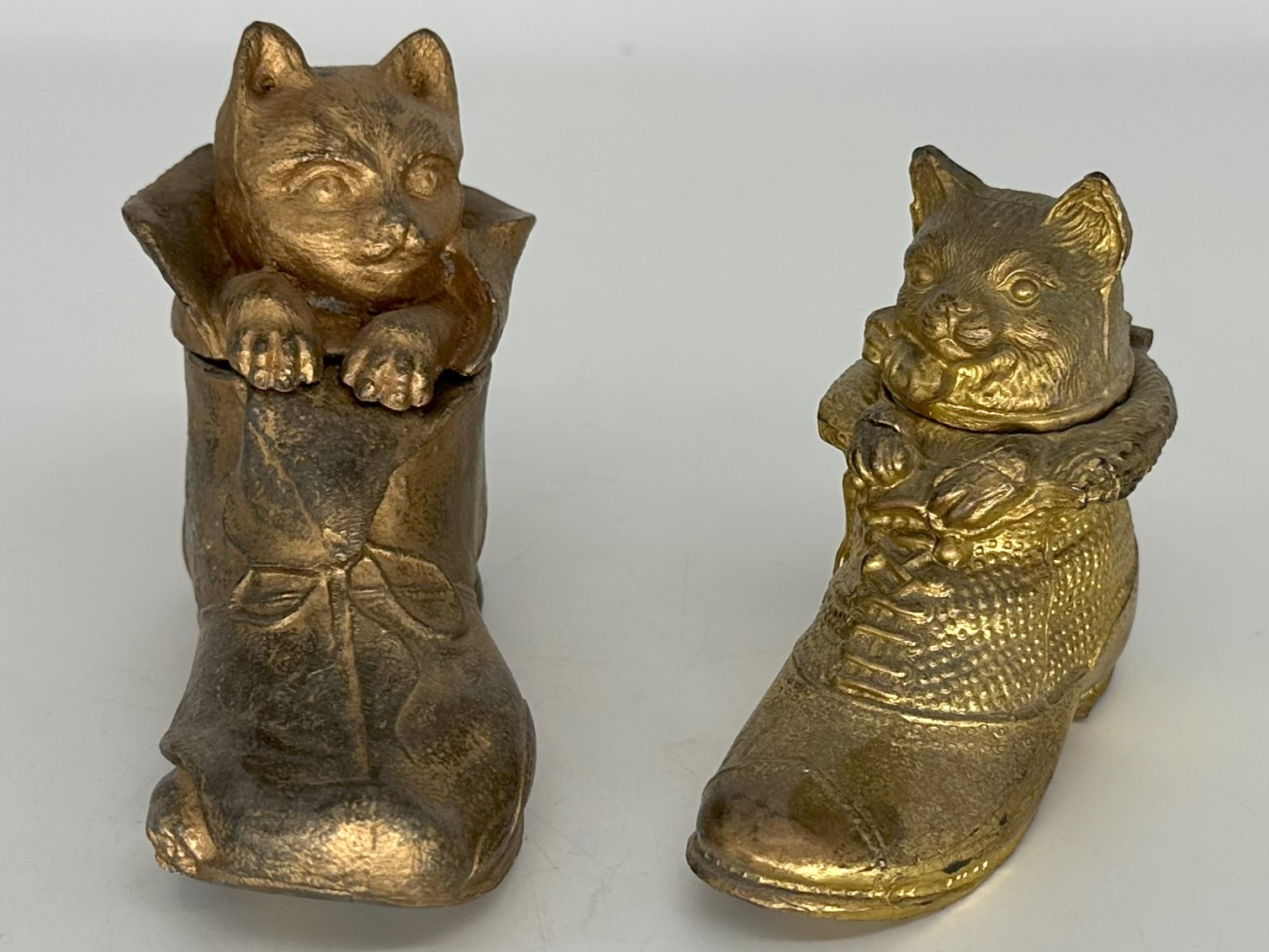 Cat in a Shoe
