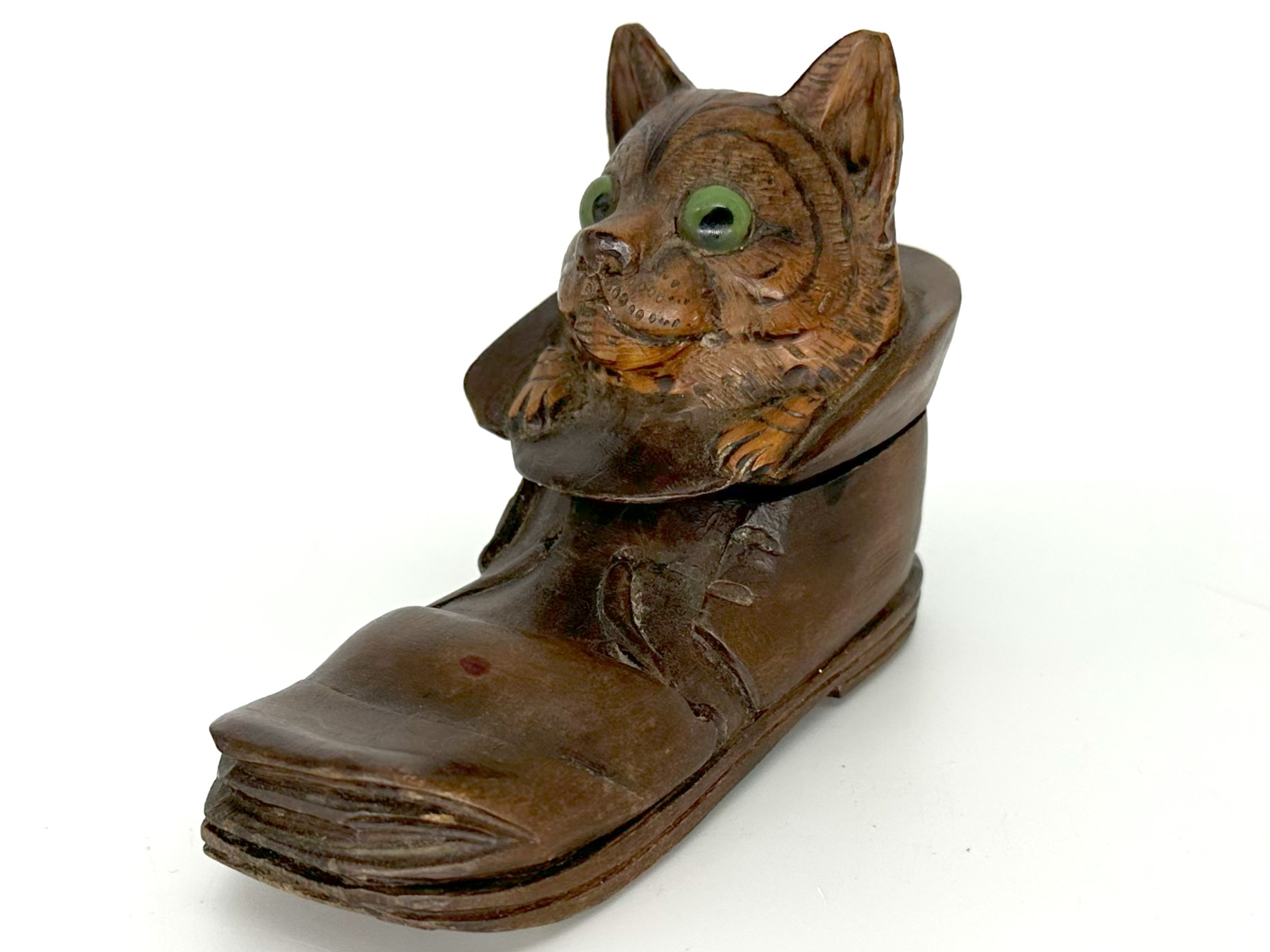 Cat in Old Wooden Shoe