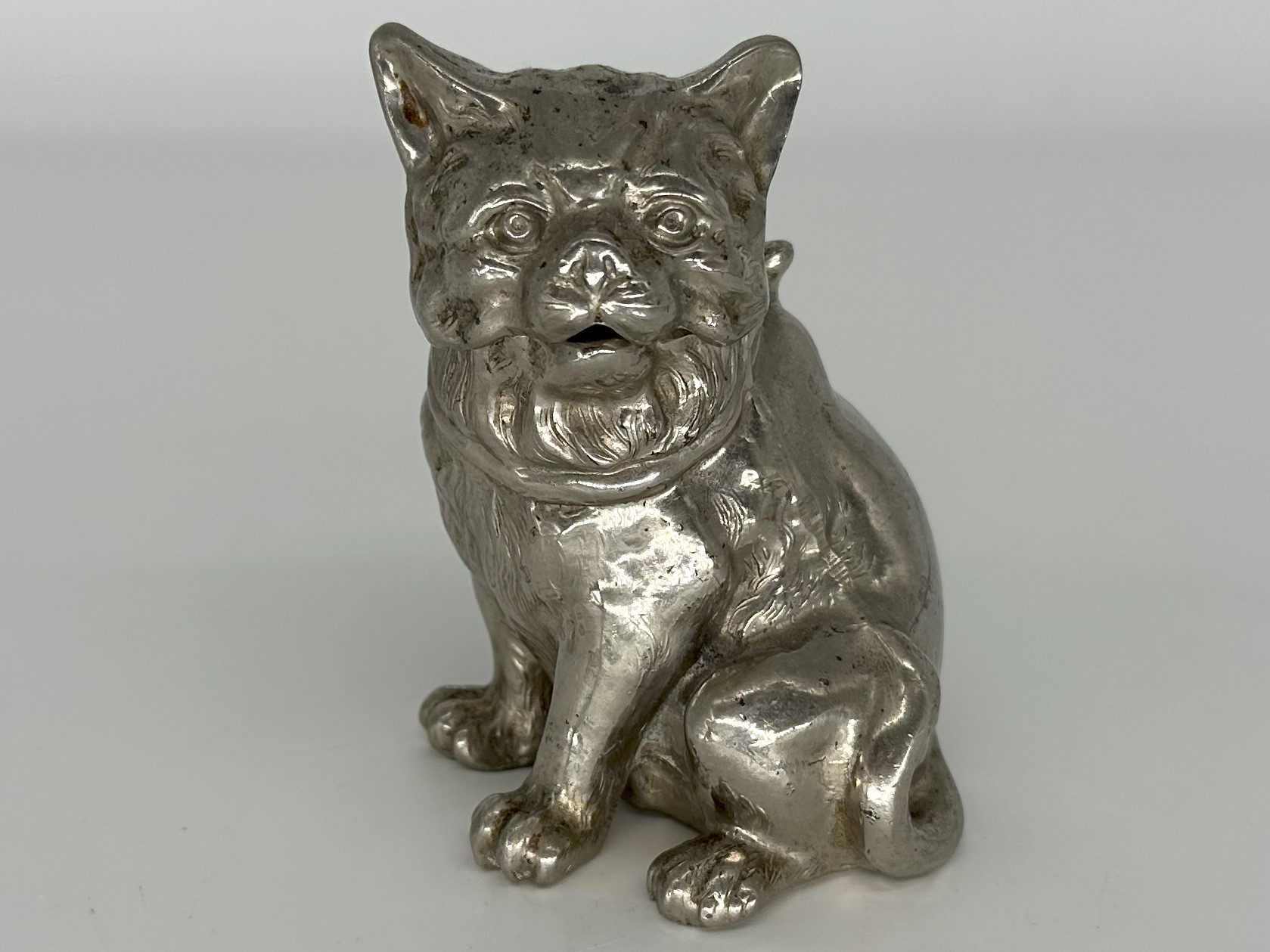 Silver Cat Sitting