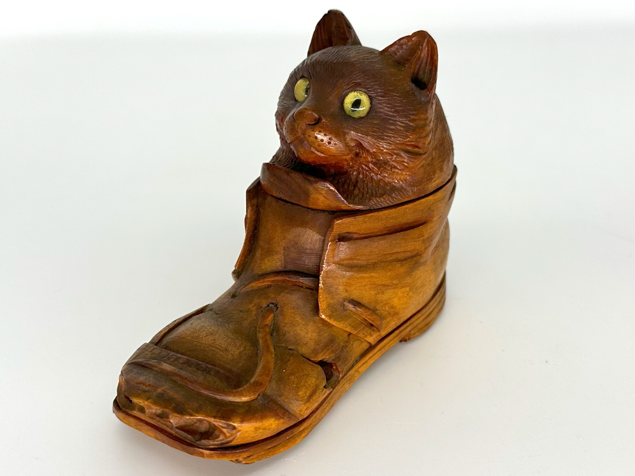 Cat in Old Wooden Shoe