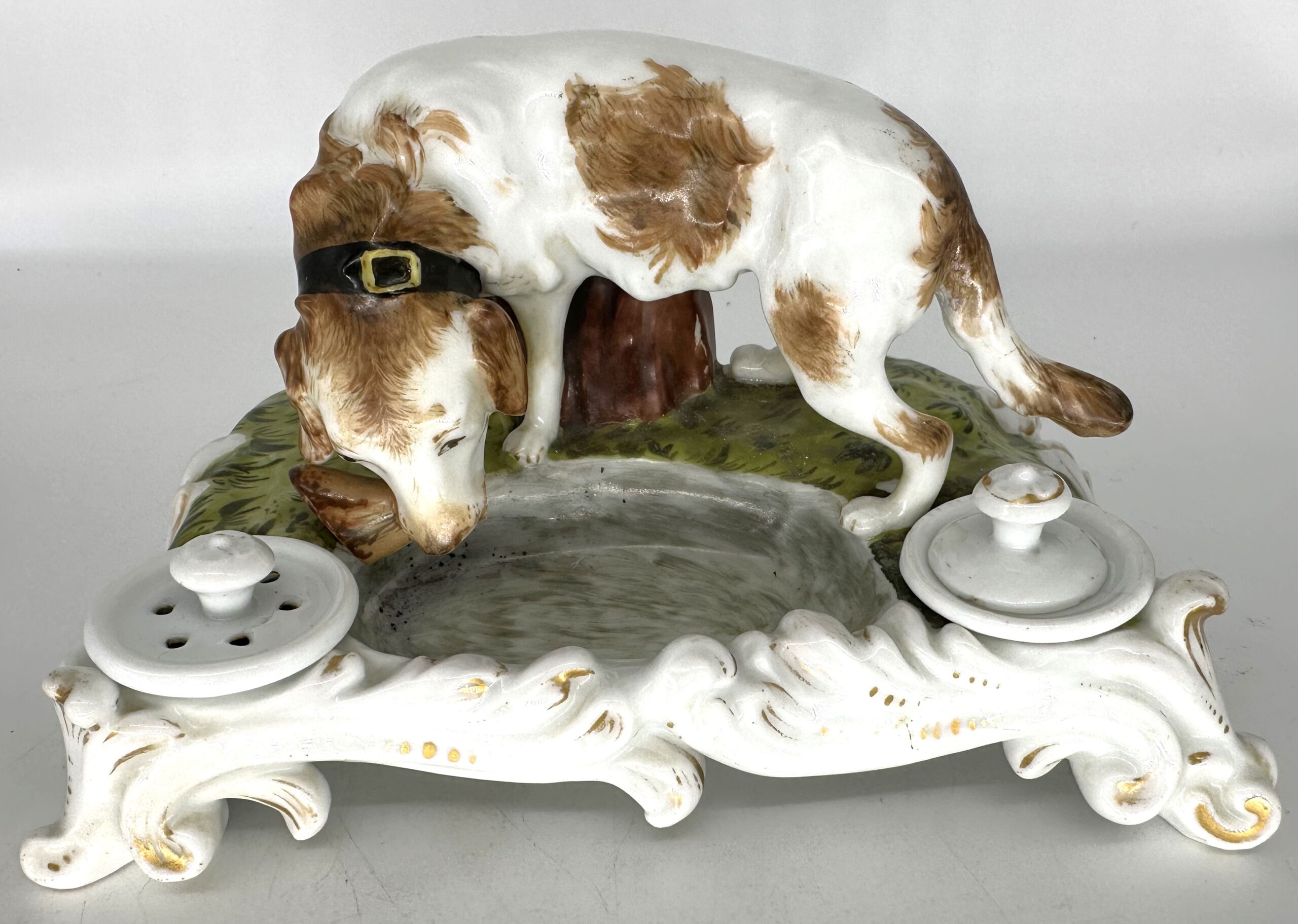 Dog Chewing on Meat