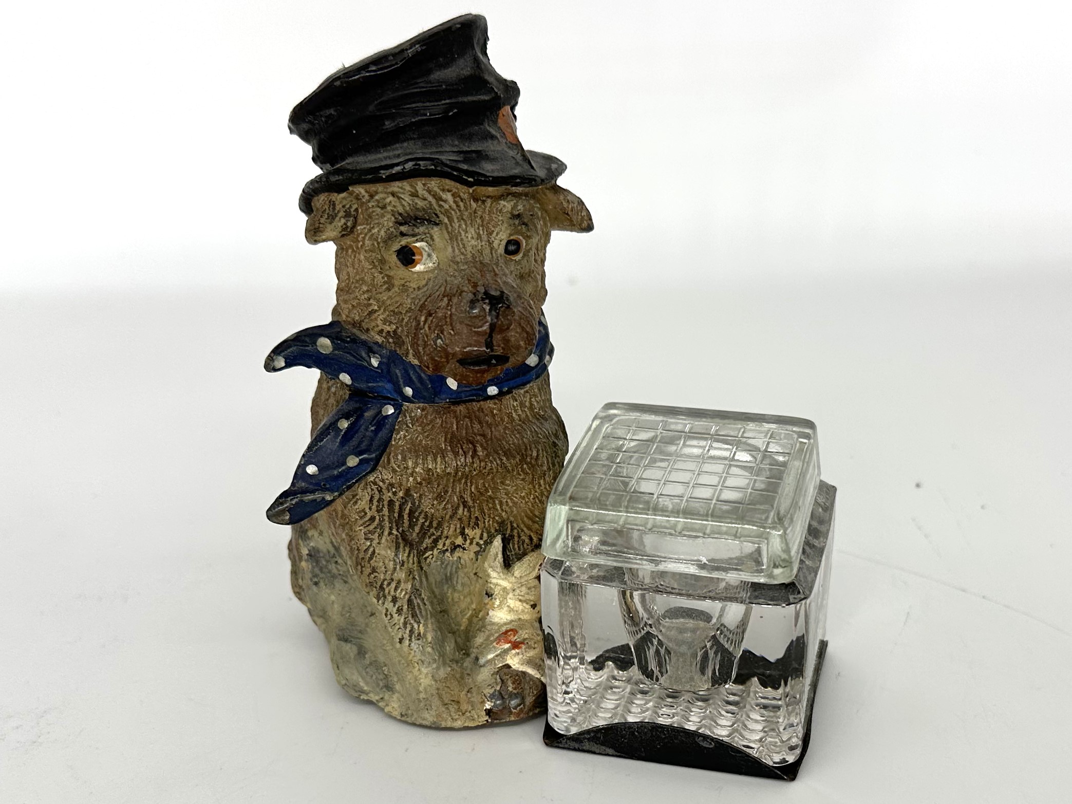 Dog – Injured Terrier