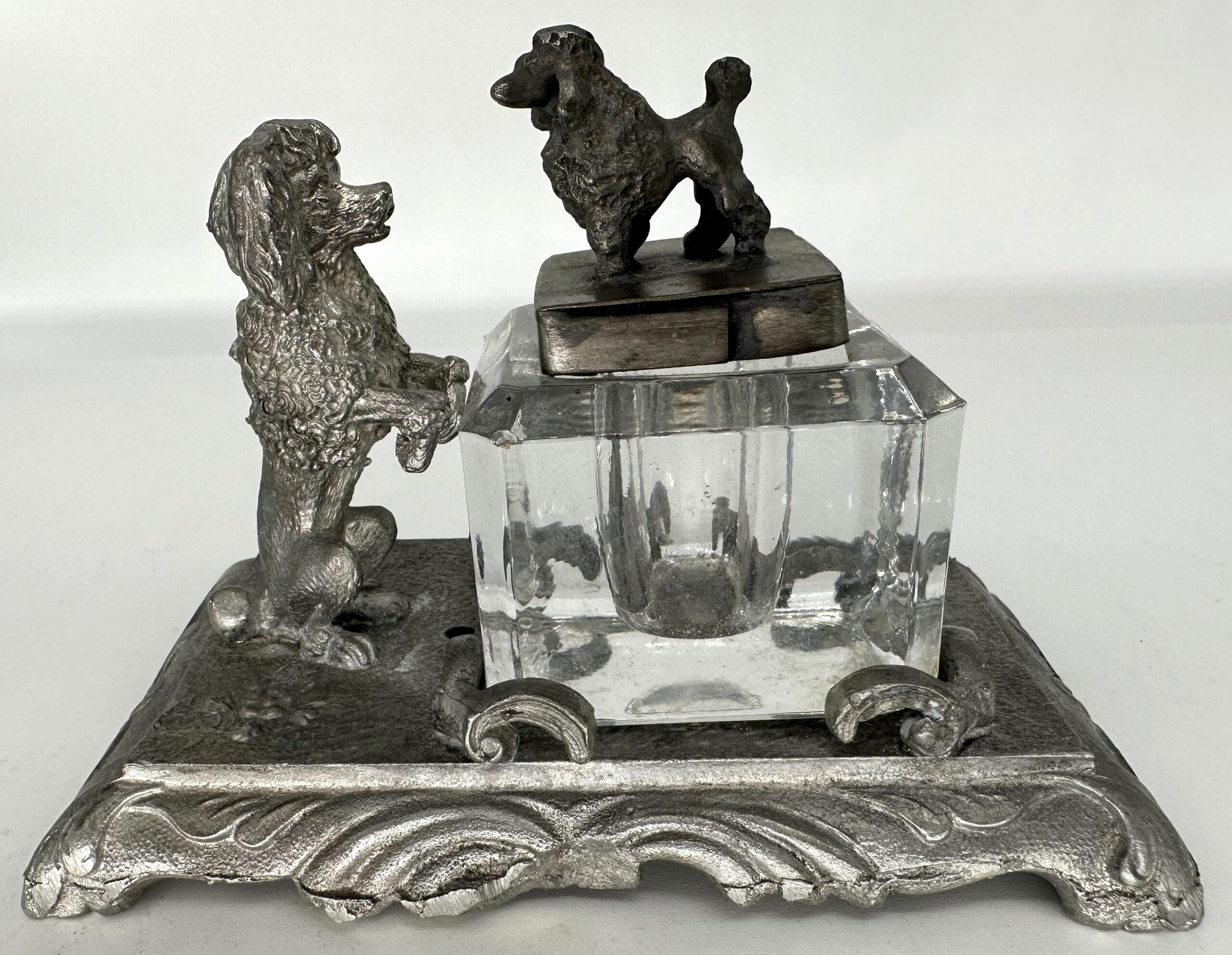 Dog – Poodles