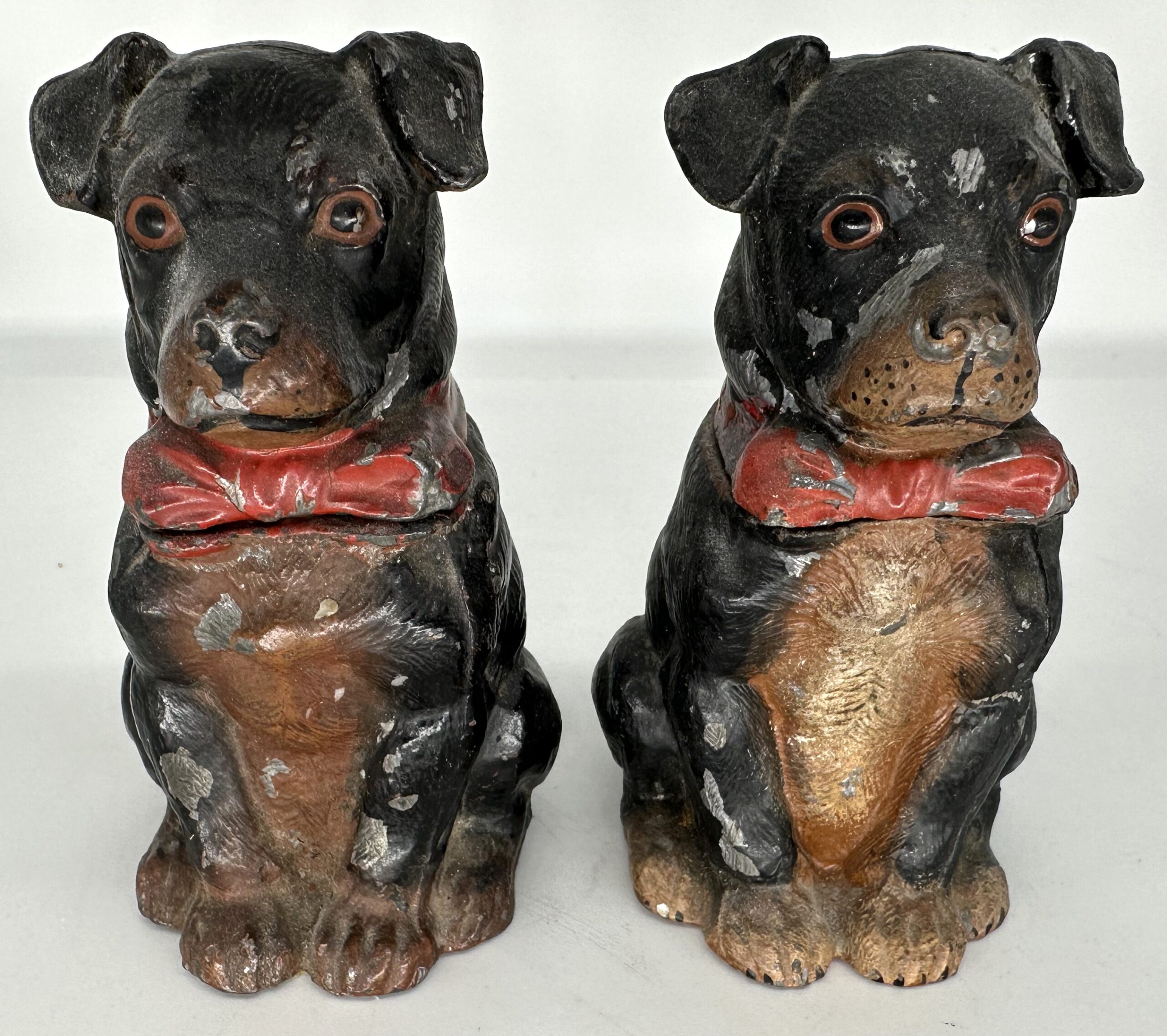 Dog – Terrier Sitting
