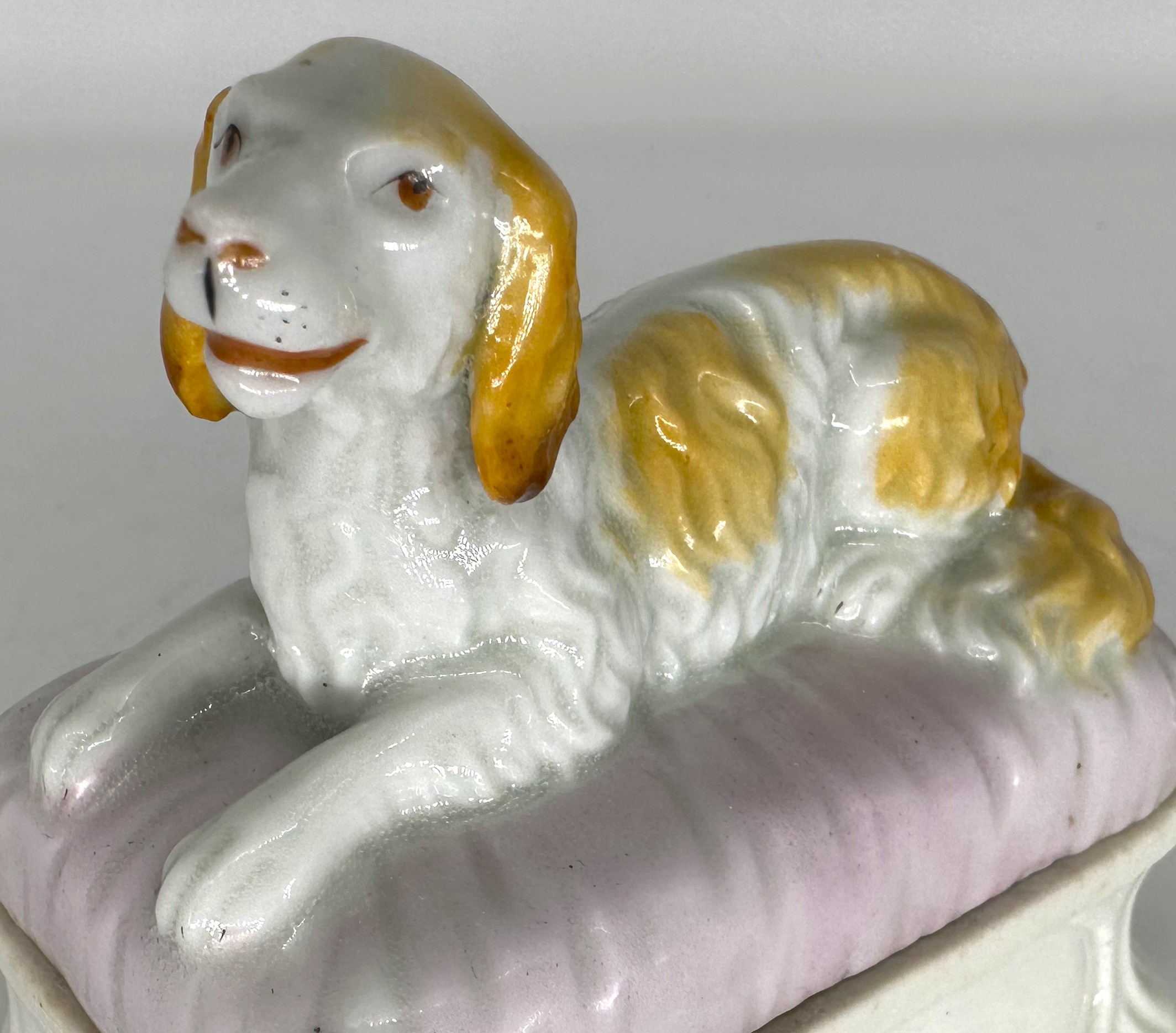 Dog – Spaniel on a Pillow