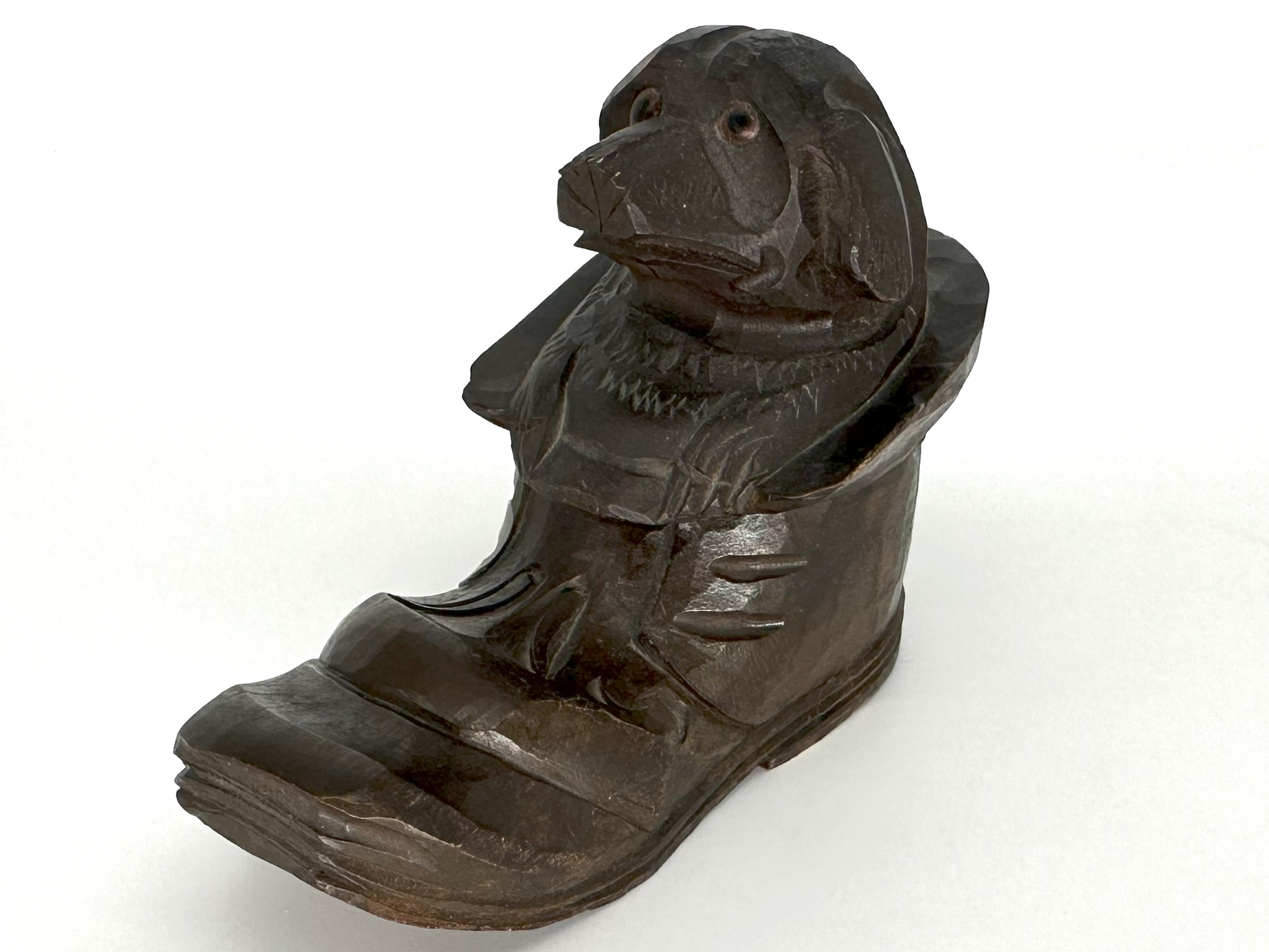 Dog in a Shoe