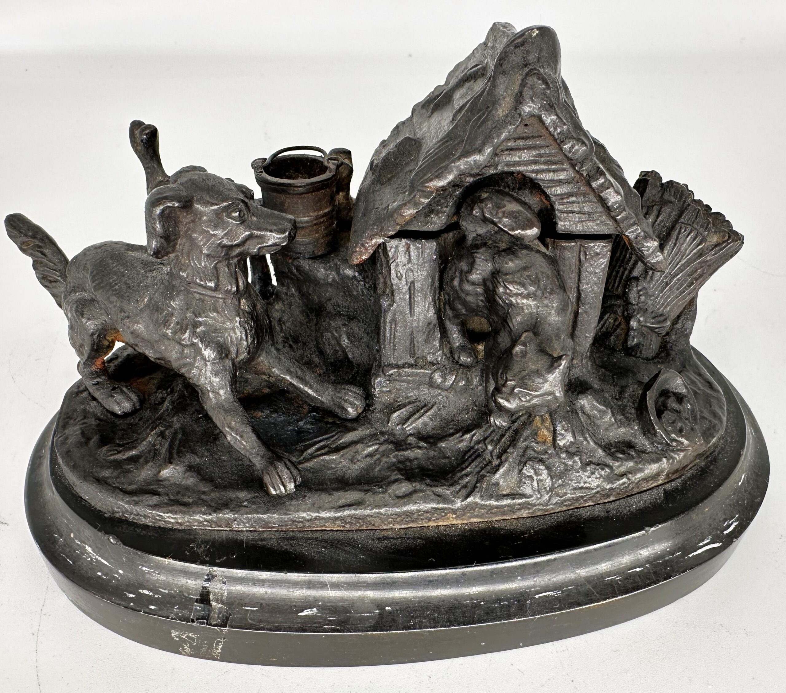 Dog and Cat Territorial Dispute