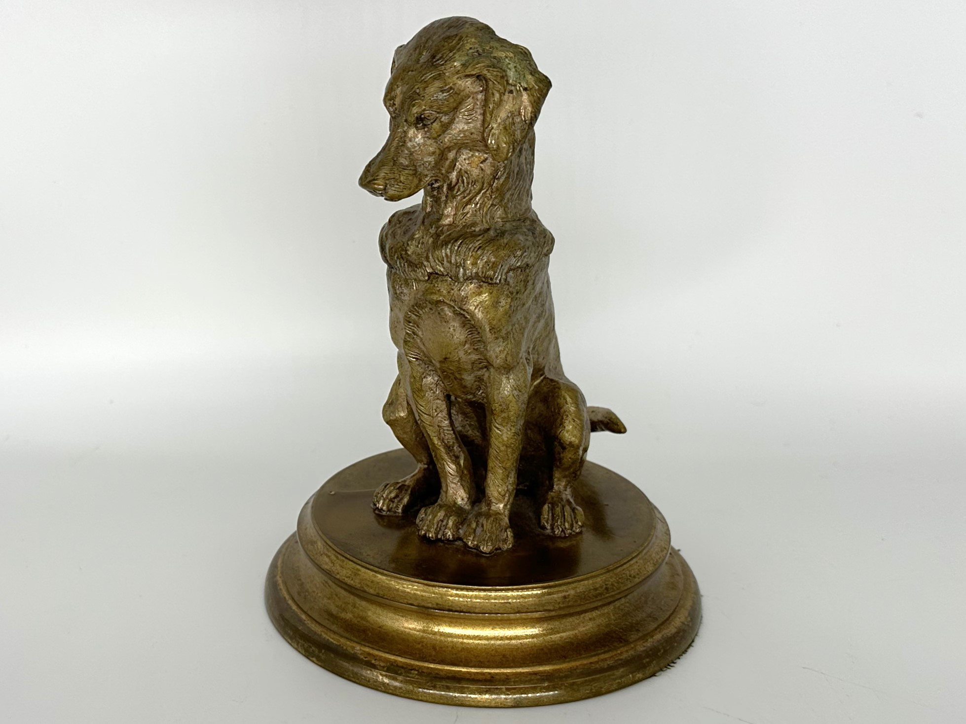 Dog – Bronze Retriever Sitting