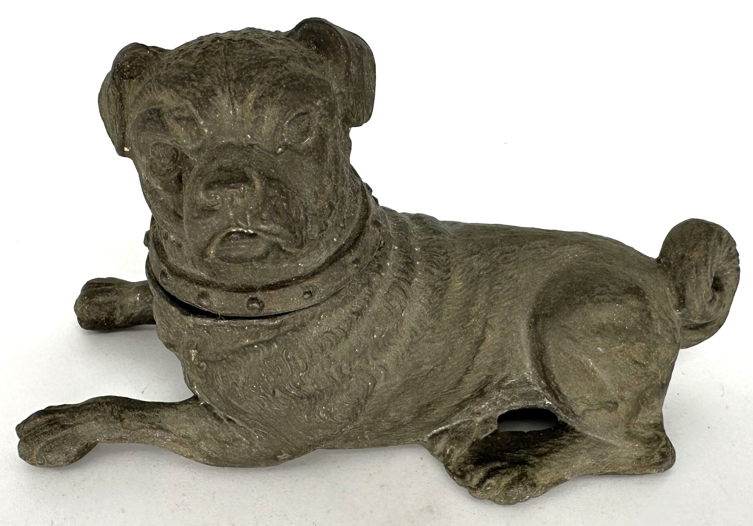 Dog – Pug