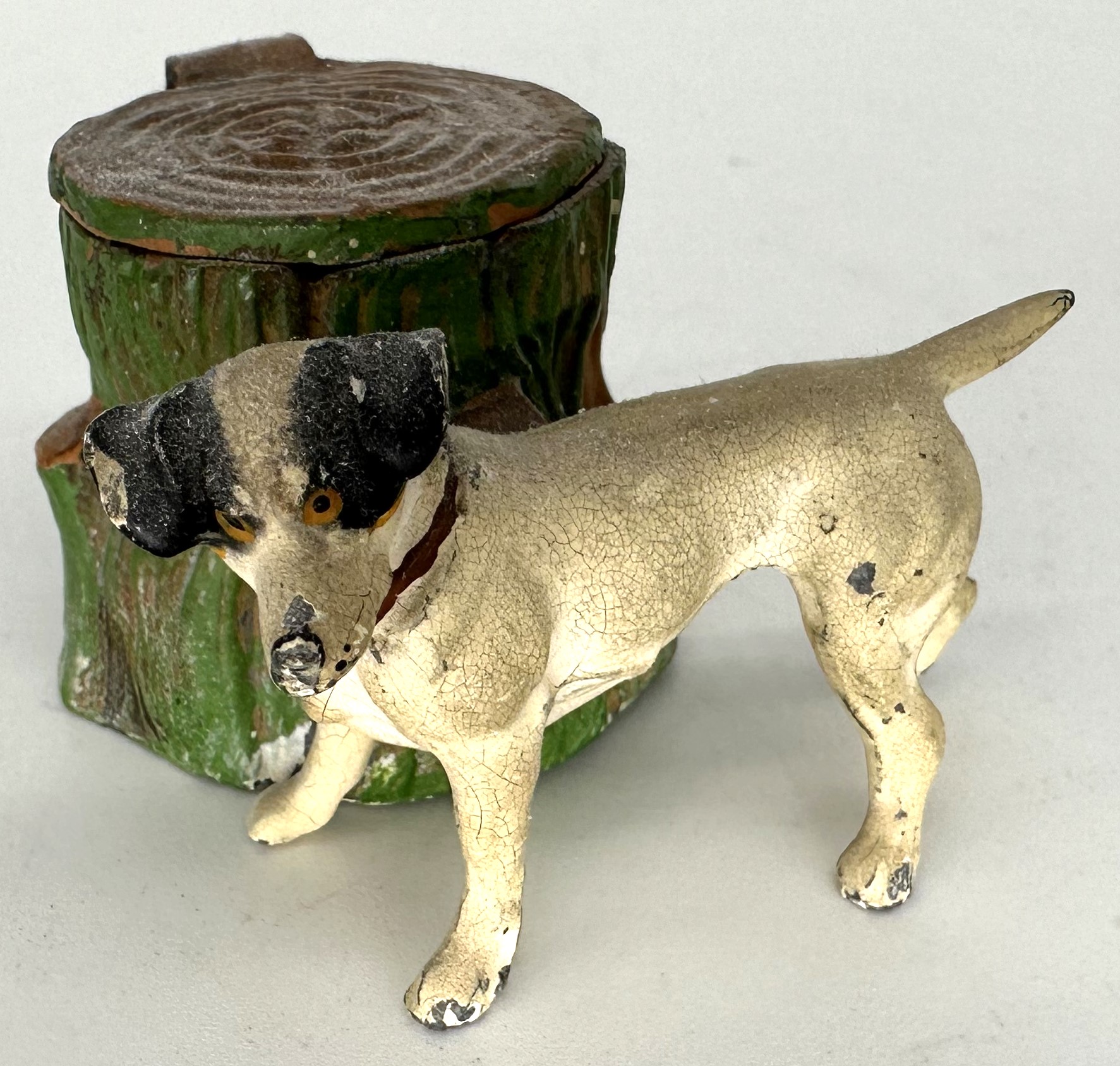 Dog – Jack Russell Terrier
