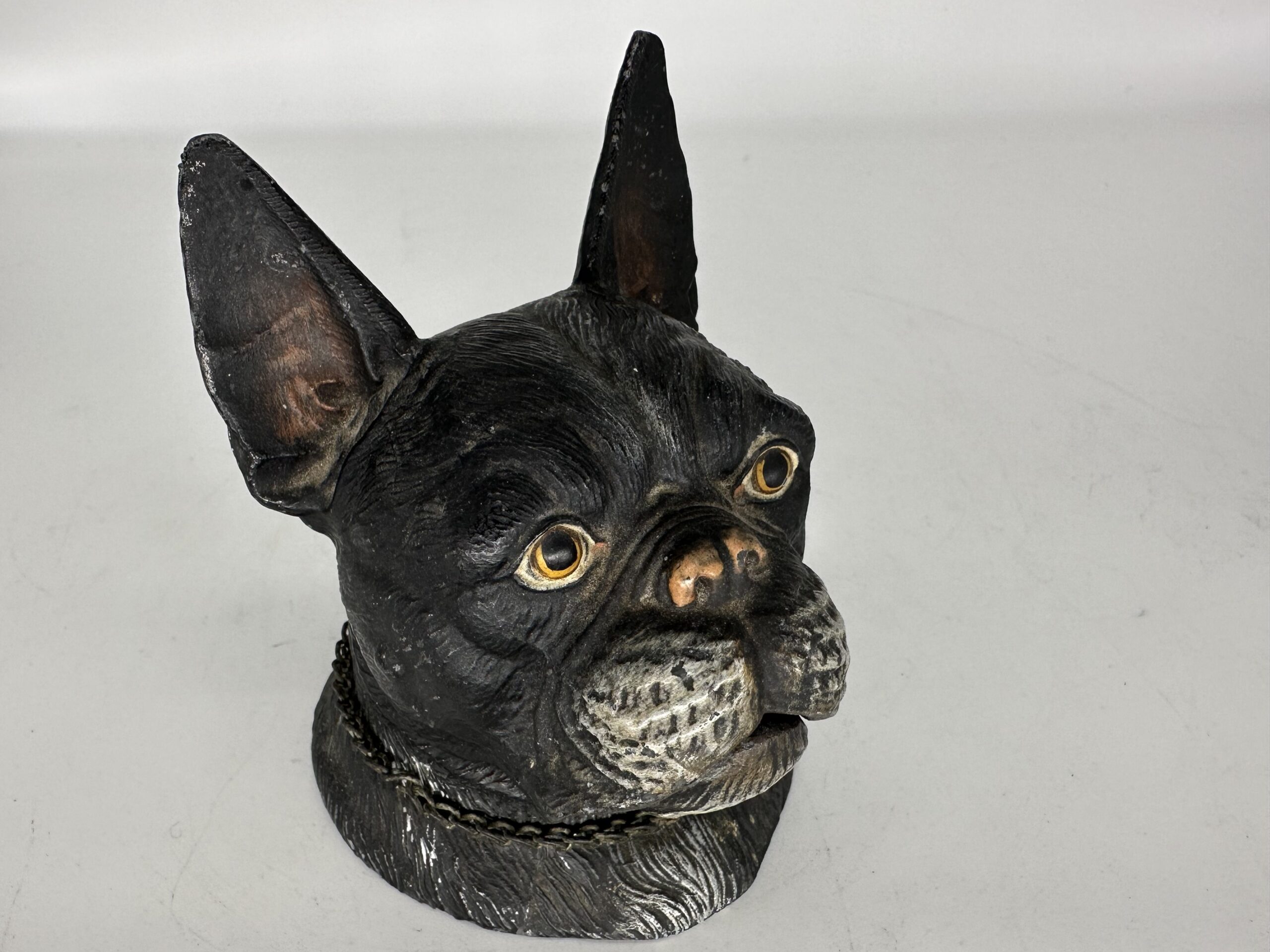 Dog –  Boston Terrier