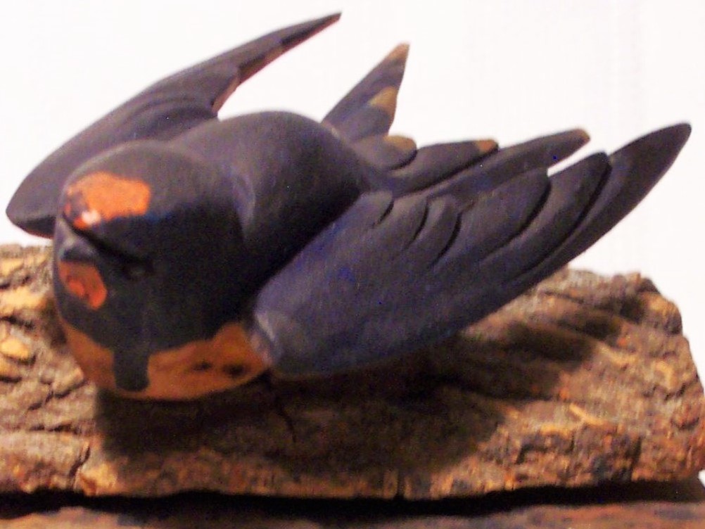 Bird on a Limb