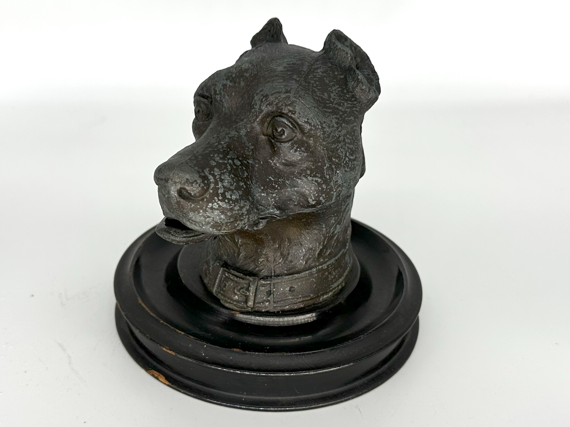 Dog – Greyhound Head