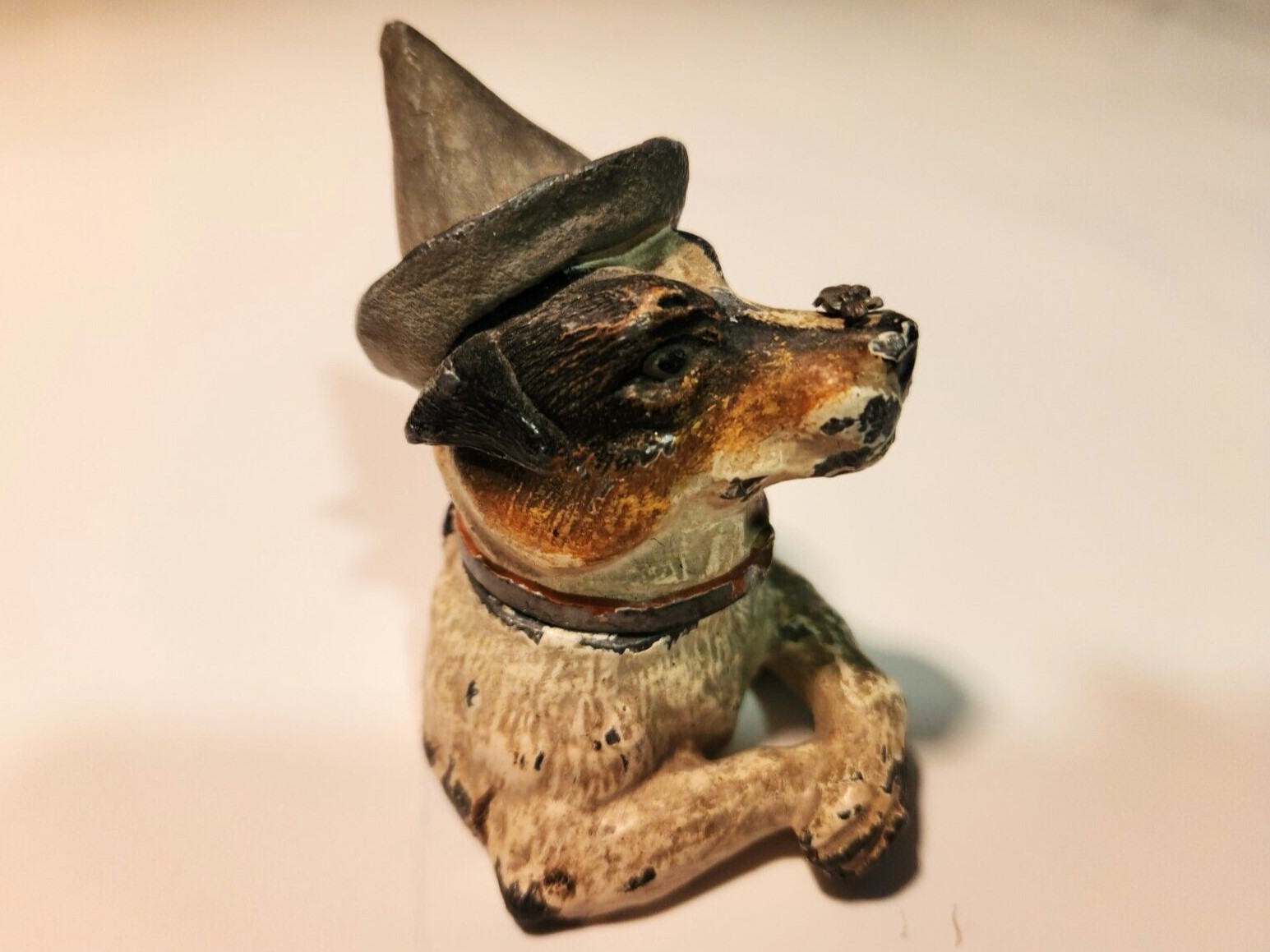 Dog with Bee on Nose