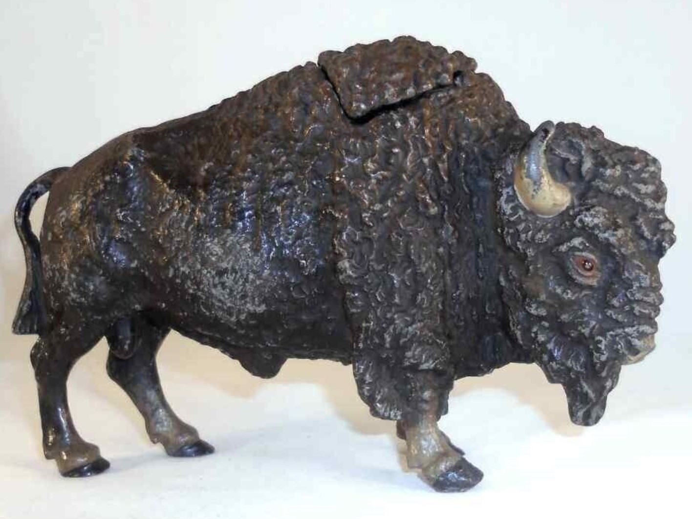 Buffalo or Bison Standing