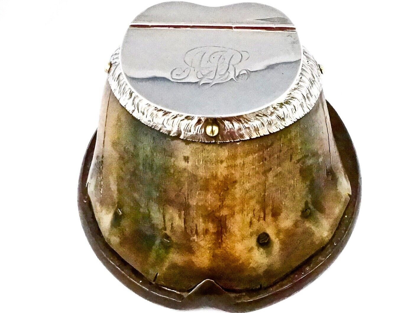 Horse Hoof Inkwell