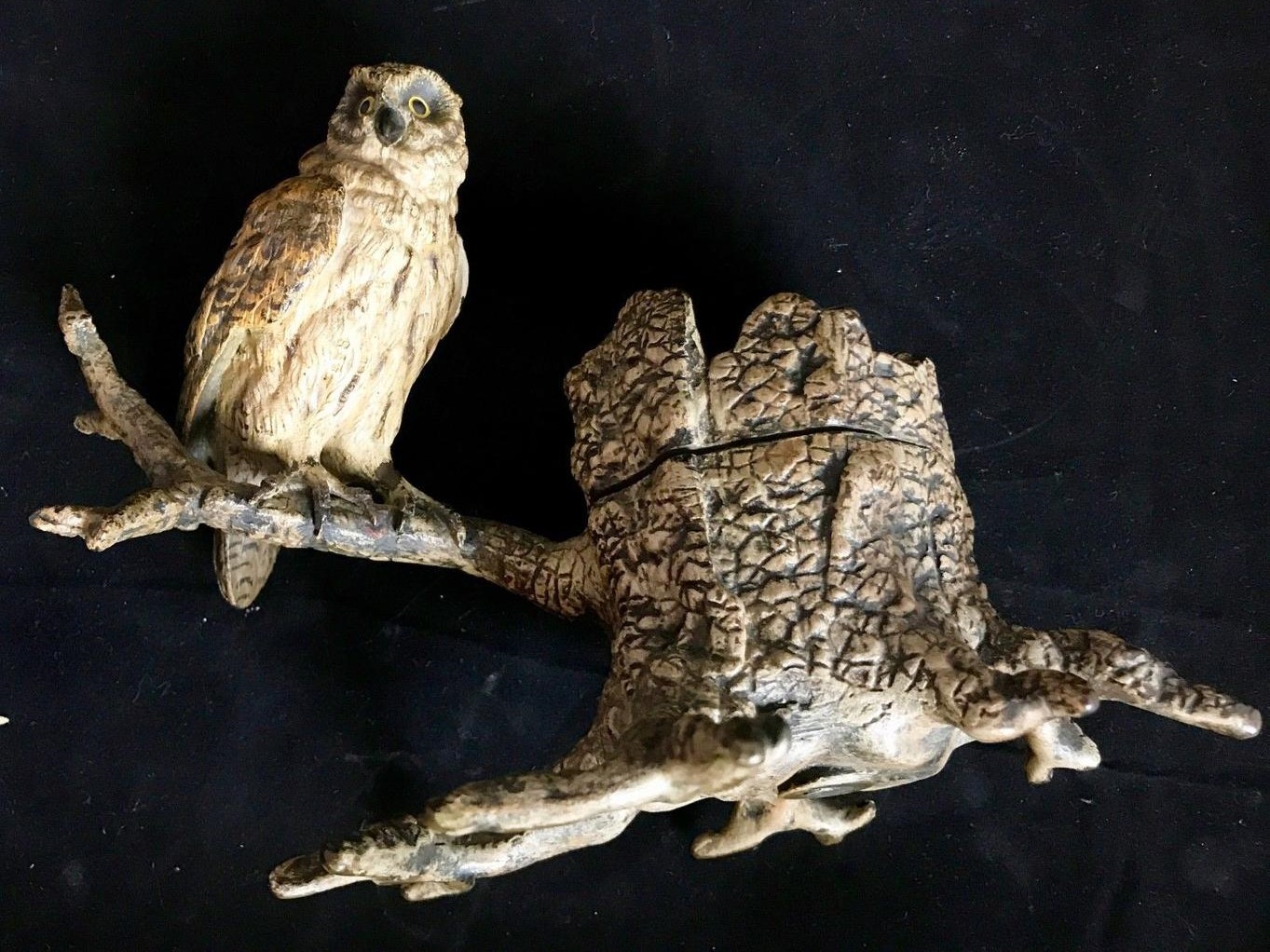 Owl on a Branch
