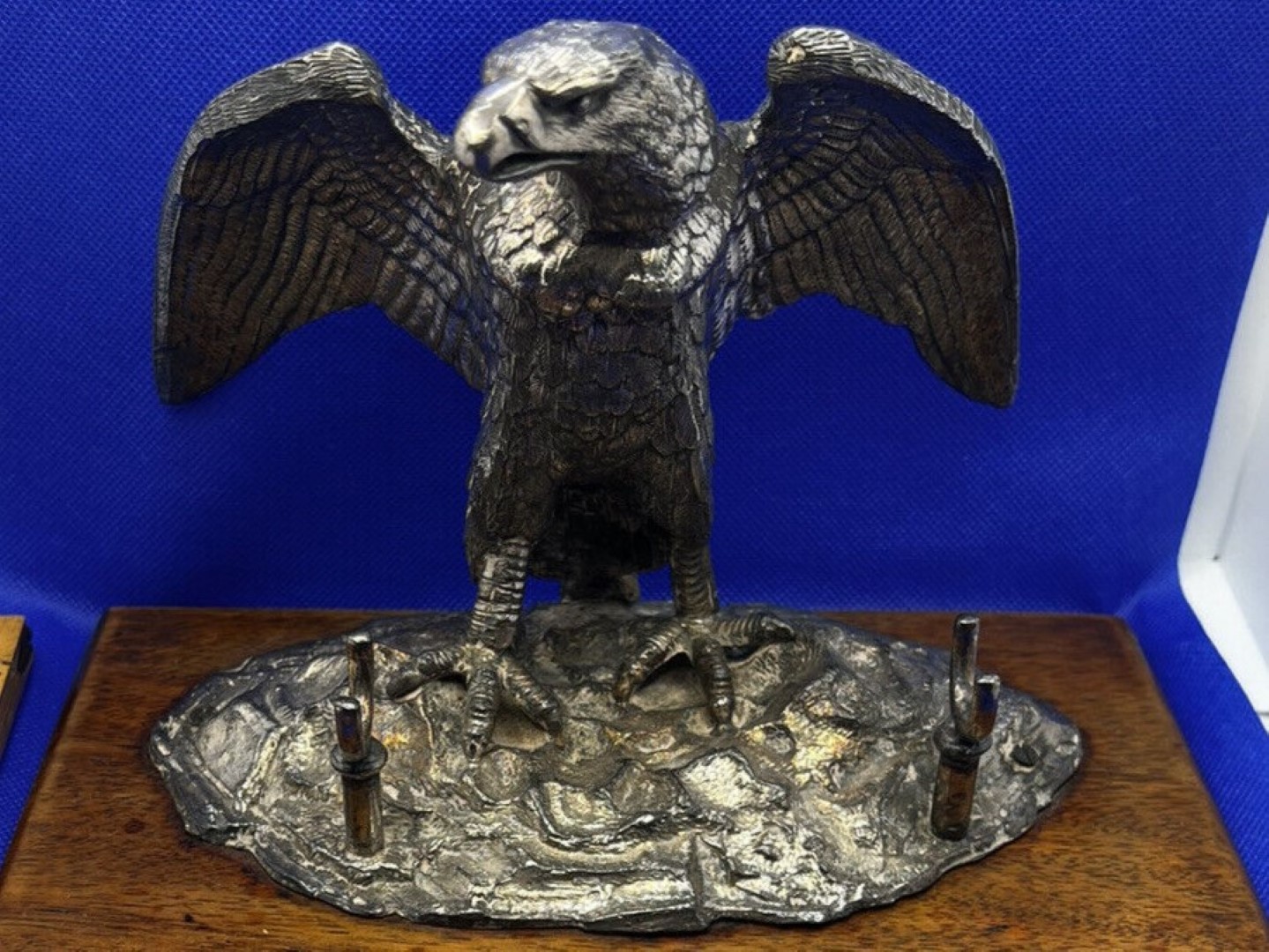 Eagle with Wings Spread