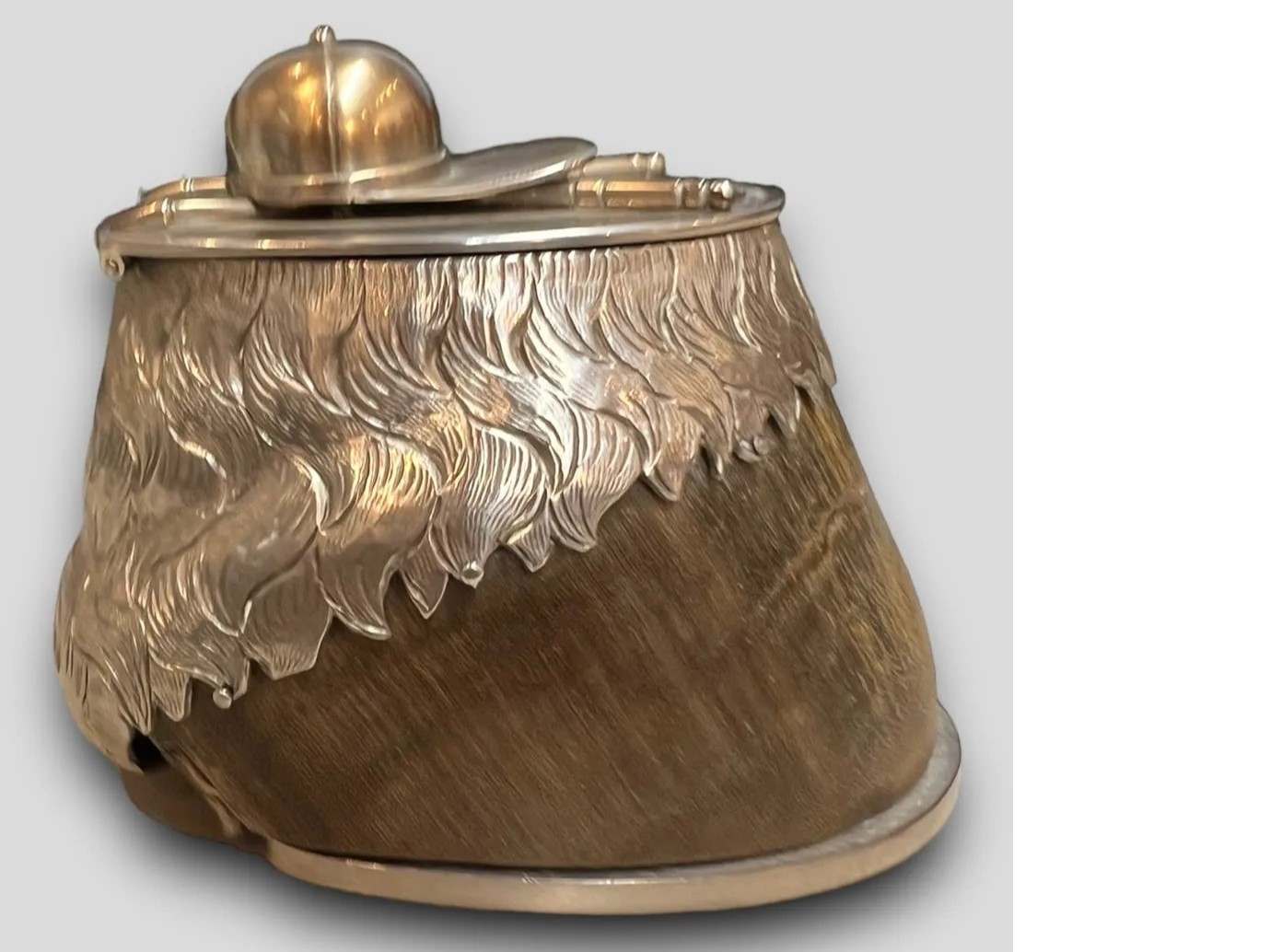 Horse Hoof Polo Pony