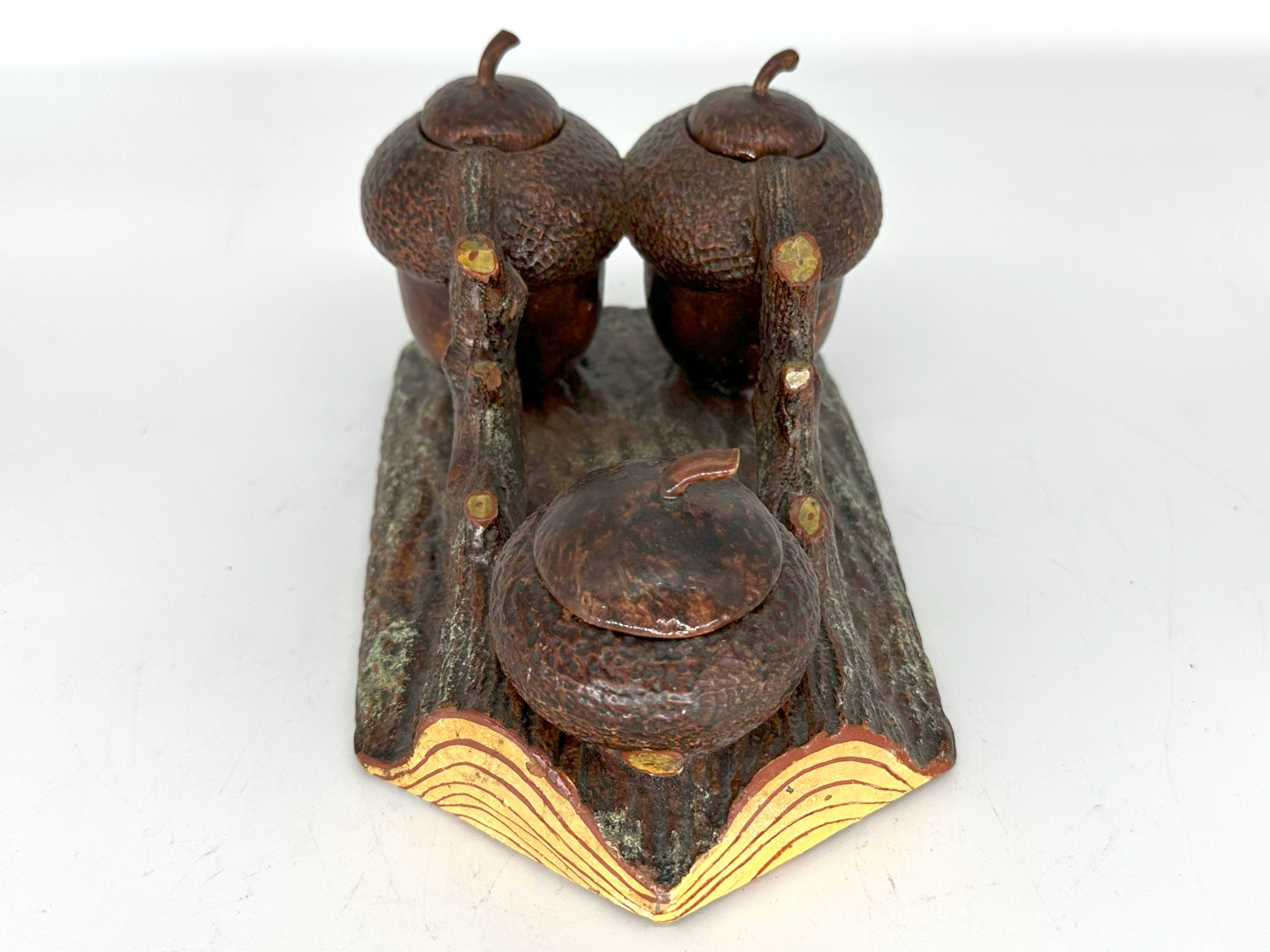 Acorns on Wood Bark