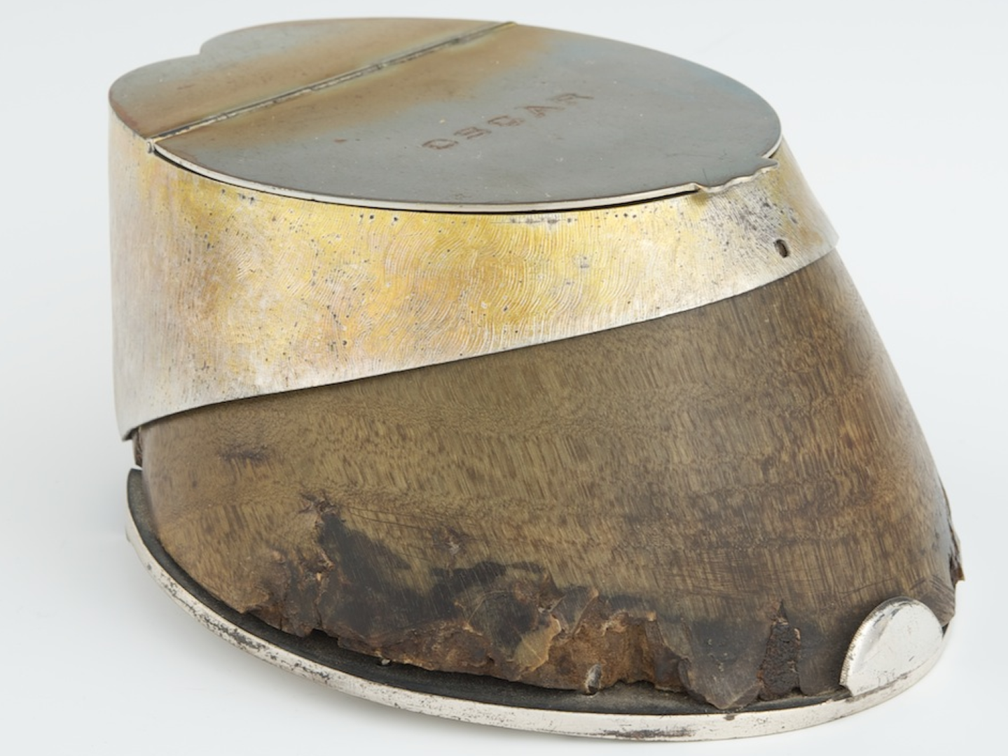 Horse Hoof Inkwell, “Oscar”