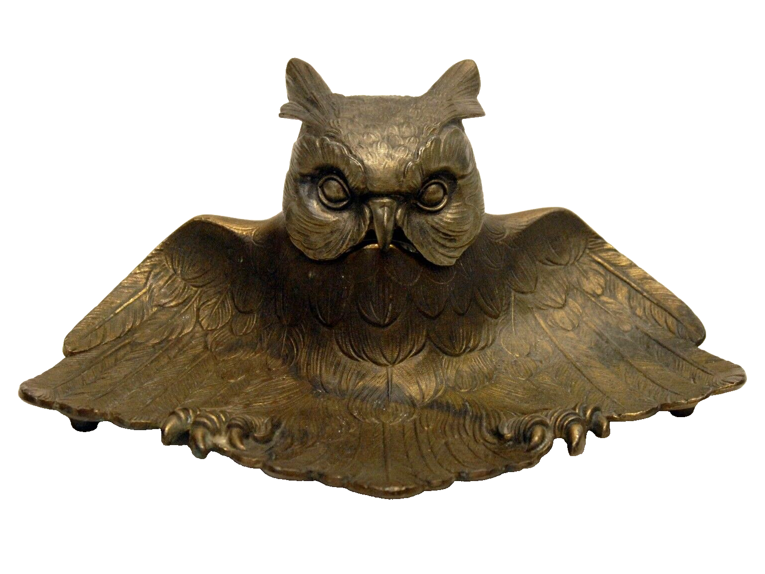 Owl with Wings Spread
