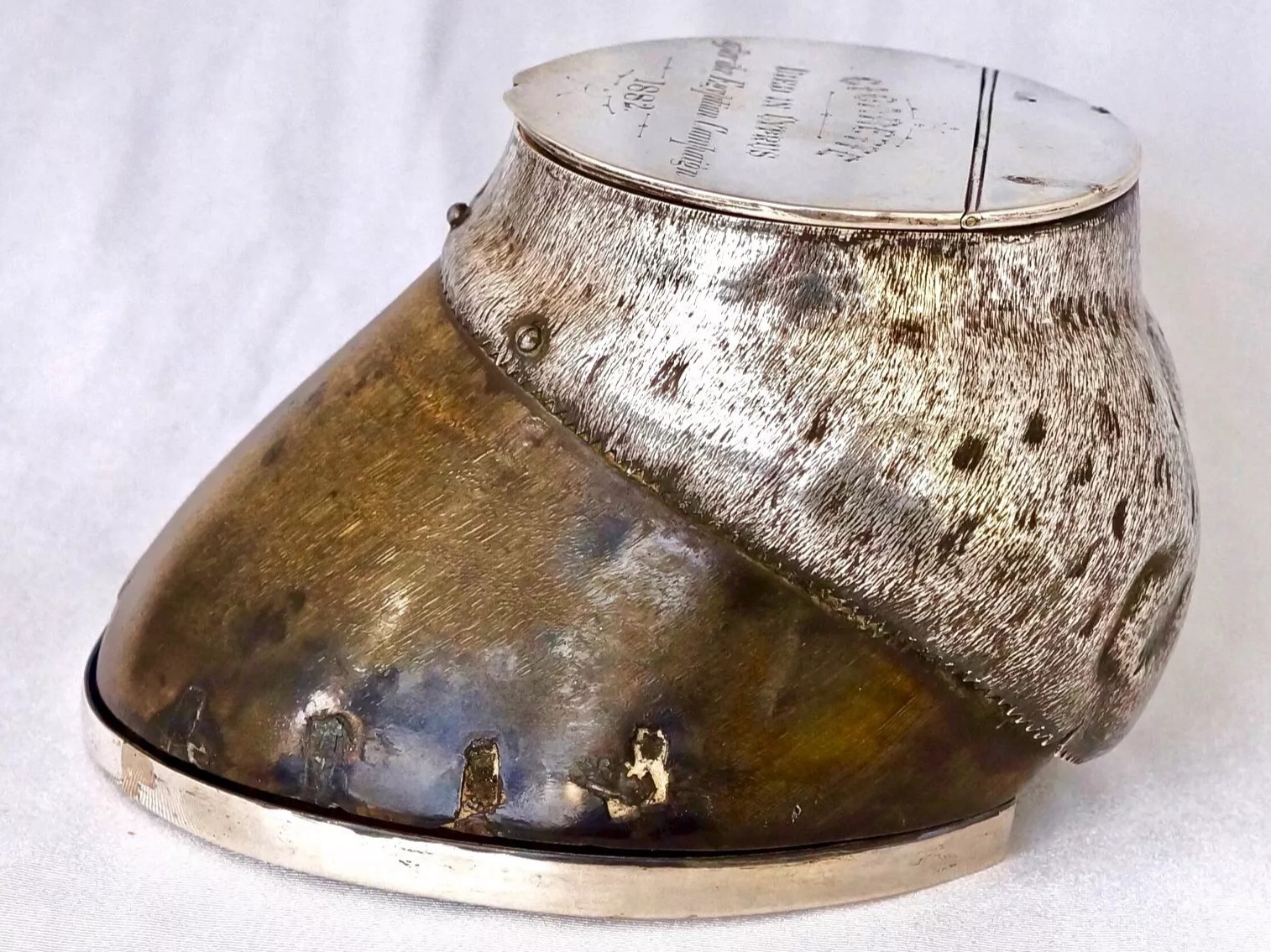 Military War Horse Hoof Inkwell