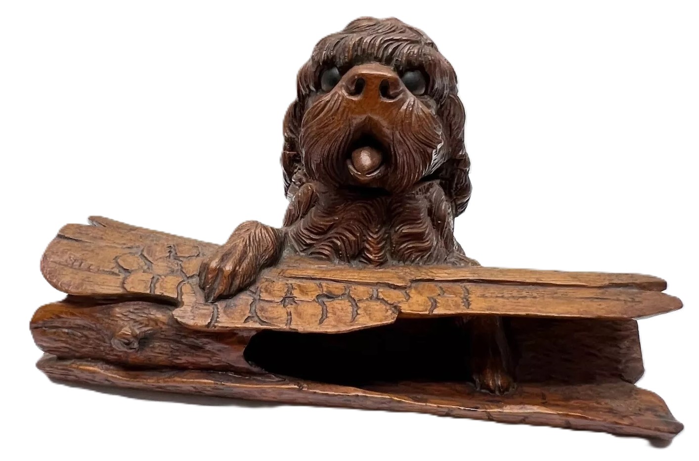 Dog on a Log