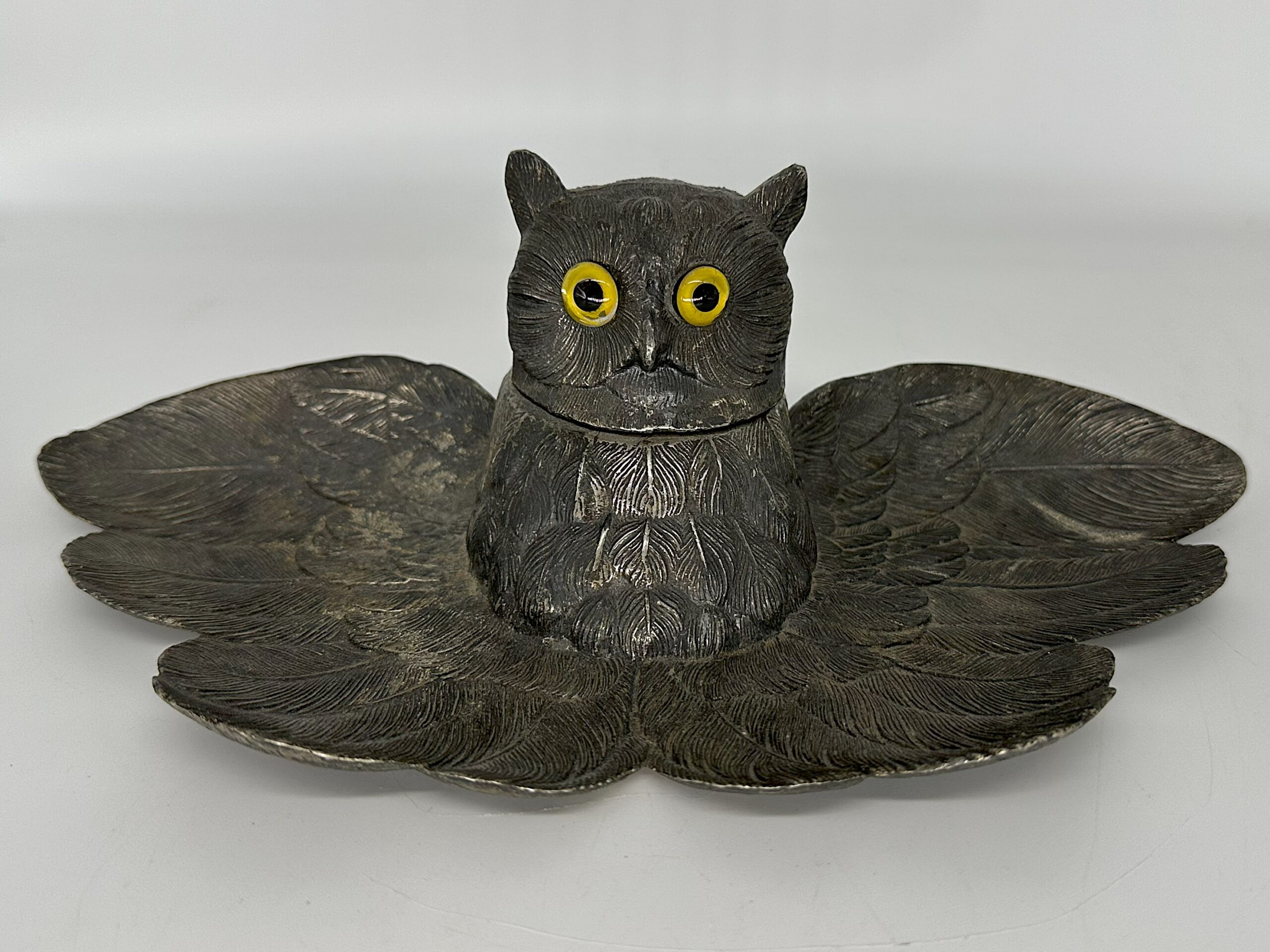 Owl with Wings Spread
