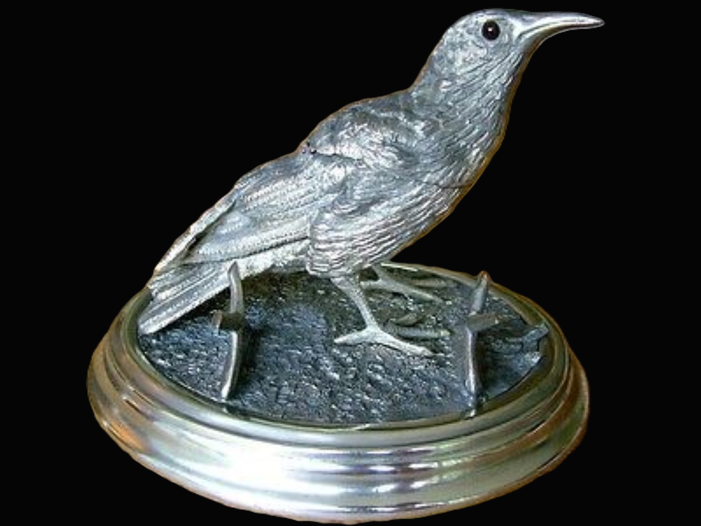 Perched Bird with Glass Eyes