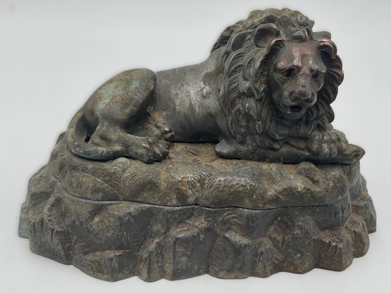 Recumbent Lion on Rocky Setting