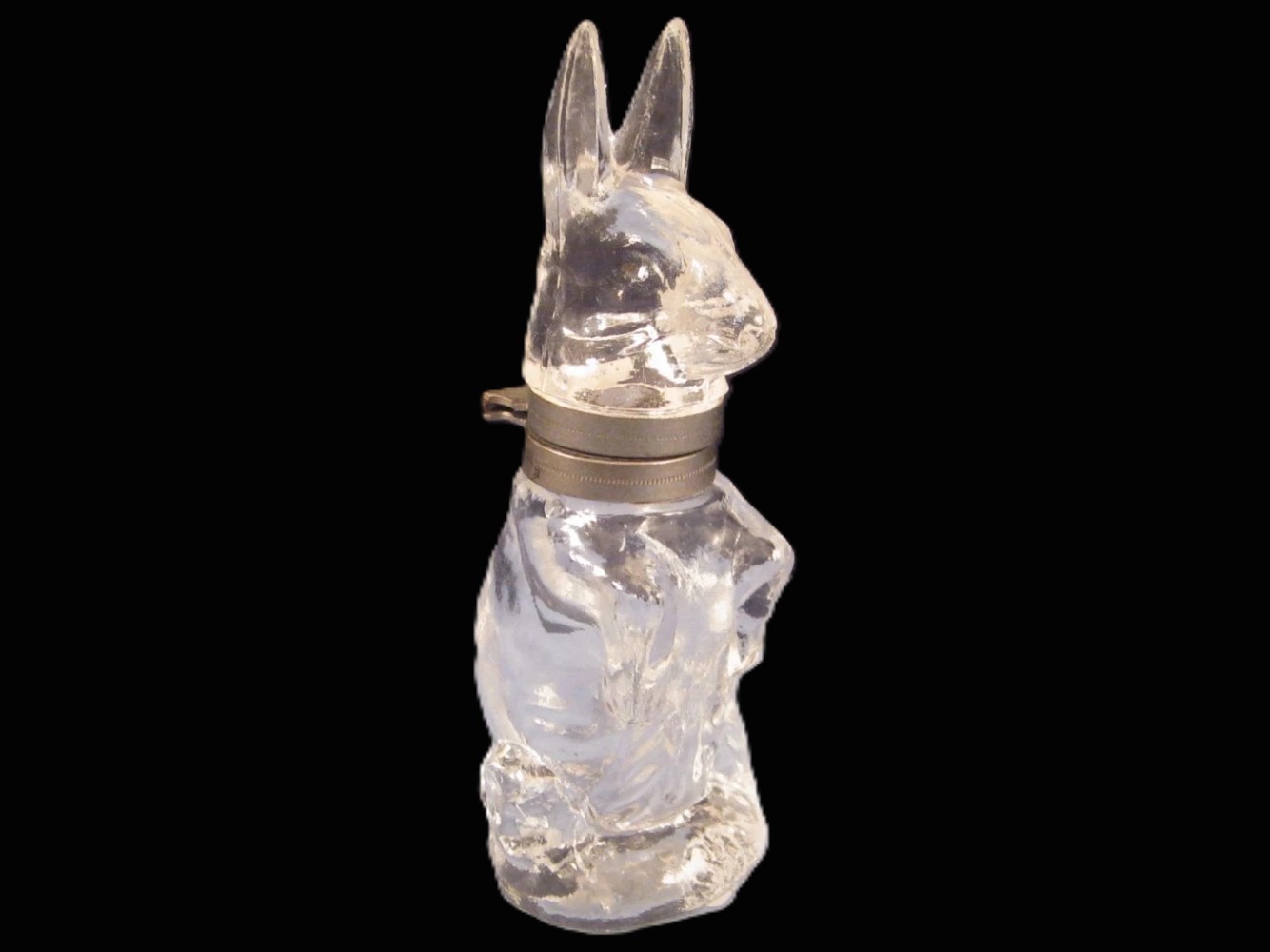 Standing Rabbit